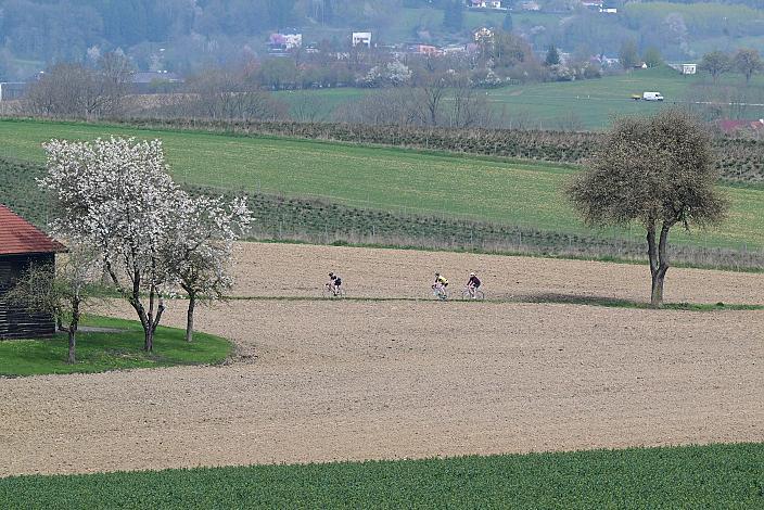 10. Kirschblüten Radklassik, Rad Klassik, Oldtimer, Vintage, Stahlrad, Radsport, Eferding, Oberösterreich