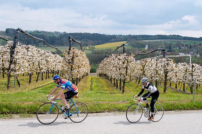 7. Kirschblüten Radklassik, Rad Klassik, Oldtimer, Vintage, Stahlrad, Radsport, Eferding, Oberösterreich