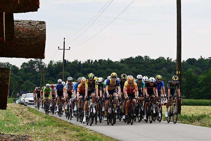 Das Peloton in der 3. Etappe,  51. Int. Oberösterreich Junioren Rundfahrt, Bad Wimsbach - Strass im Attergau
