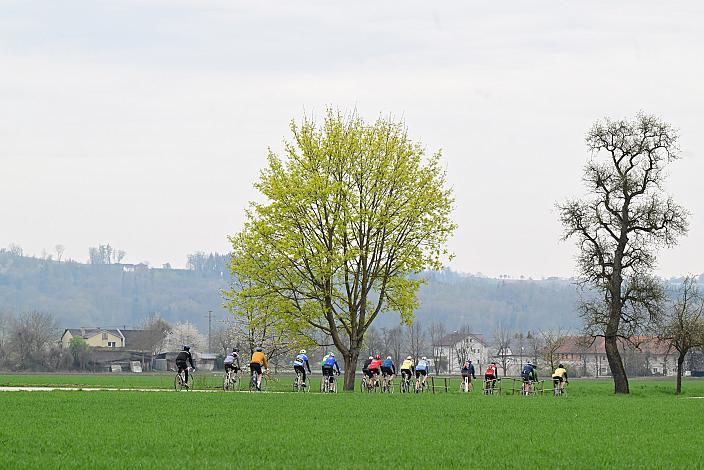 10. Kirschblüten Radklassik, Rad Klassik, Oldtimer, Vintage, Stahlrad, Radsport, Eferding, Oberösterreich