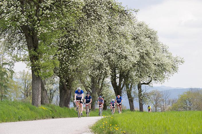 7. Kirschblüten Radklassik, Rad Klassik, Oldtimer, Vintage, Stahlrad, Radsport, Eferding, Oberösterreich