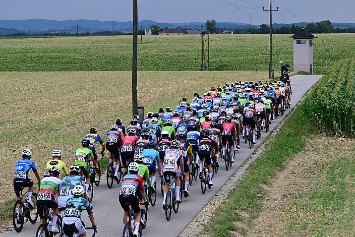 Das Peloton in der 3. Etappe,  51. Int. Oberösterreich Junioren Rundfahrt, Bad Wimsbach - Strass im Attergau