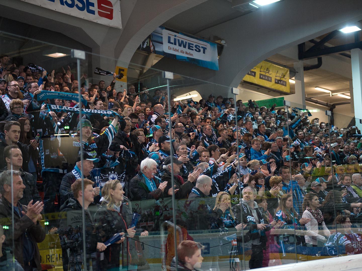 Fans. EHC Liwest Black Wings Linz vs HCB Suedtirol, 7. Viertelfinale