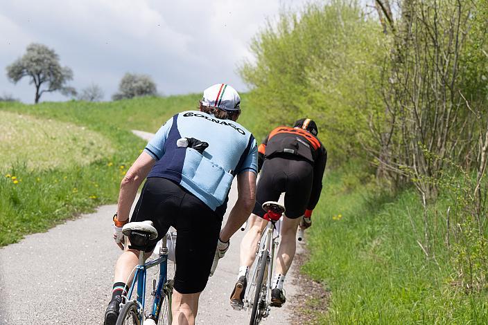7. Kirschblüten Radklassik, Rad Klassik, Oldtimer, Vintage, Stahlrad, Radsport, Eferding, Oberösterreich