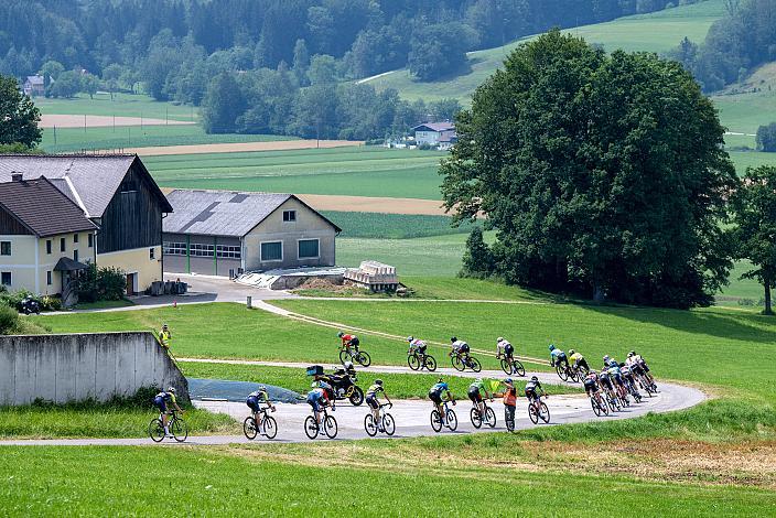 Das Peleton in der Abfahrt  Bad Wimsbach - Strass im Attergau, Int. "Keine Sorgen" Junioren Rundfahrt UCI Kat. 2.1 MJ