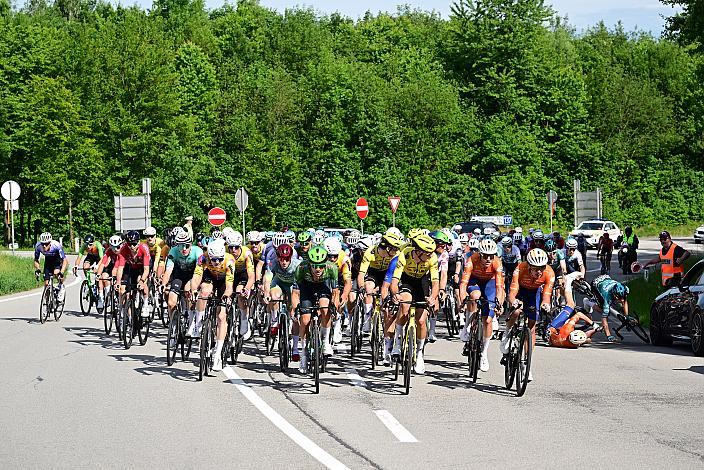 Das Peloton unterwegs im Traunviertel  3. Etappe Asten - Bad Schallerbach, Oberösterreich Rundfahrt