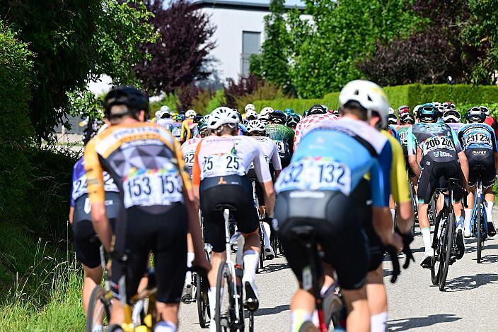 Das Peloton unterwegs im Traunviertel  3. Etappe Asten - Bad Schallerbach, Oberösterreich Rundfahrt