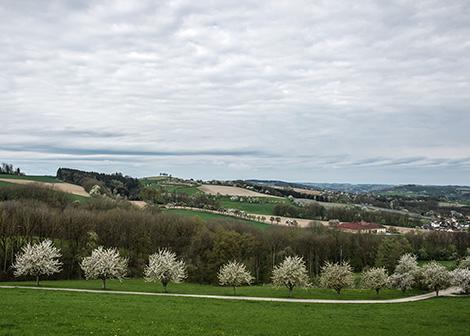 Landschaft bei Scharten