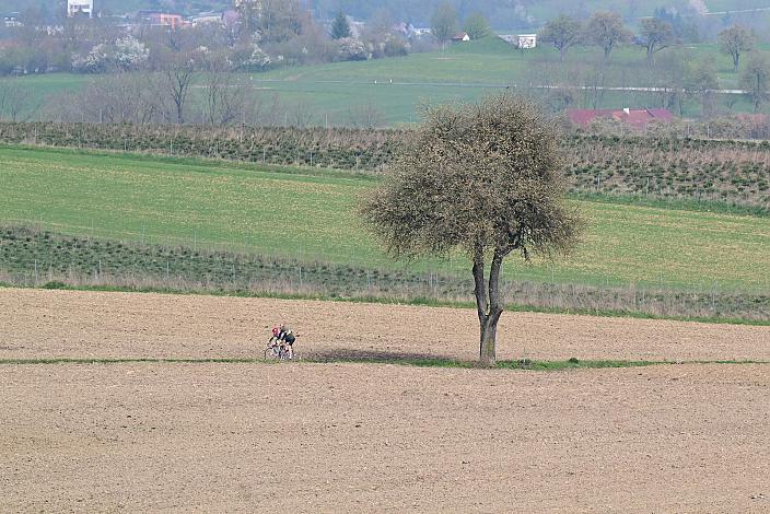 10. Kirschblüten Radklassik, Rad Klassik, Oldtimer, Vintage, Stahlrad, Radsport, Eferding, Oberösterreich