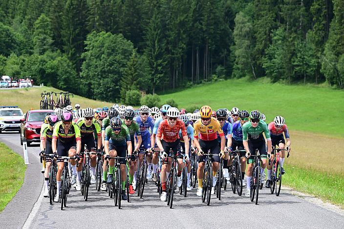 Das Peloton auf der 2. Etappe unterwegs von , Wels nach Aigen - Schlägl, 14. Int. Raiffeisen OÖ-Radrundfahrt UCI Kat. 2.2