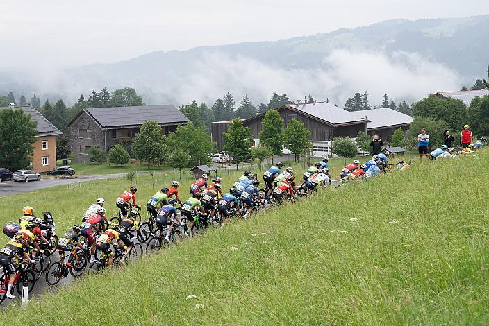 Das Peleton im Bregenzerwald 72. Tour of Austria, 1. Etappe Dornbirn -Dornbirn