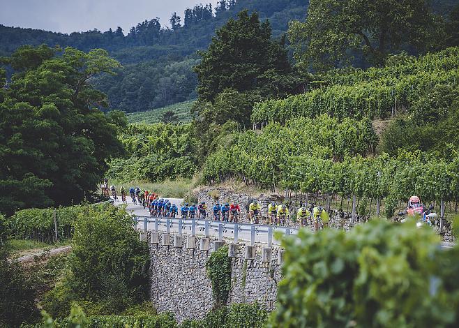 2. Etappe, Zwettl - Wr. Neustadt, 71. Ã–sterreich Rundfahrt, Tour of Austria (UCI 2.1)