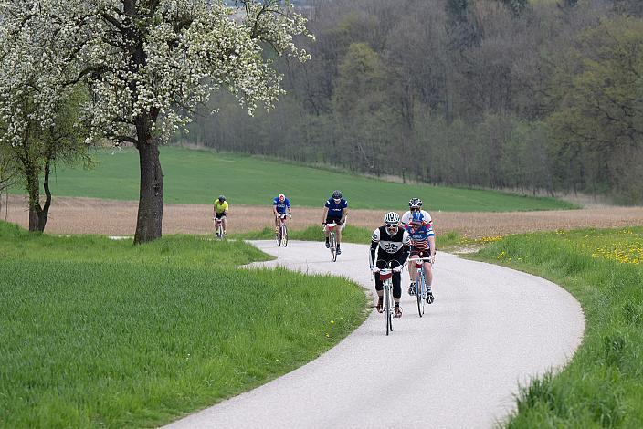 7. Kirschblüten Radklassik, Rad Klassik, Oldtimer, Vintage, Stahlrad, Radsport, Eferding, Oberösterreich