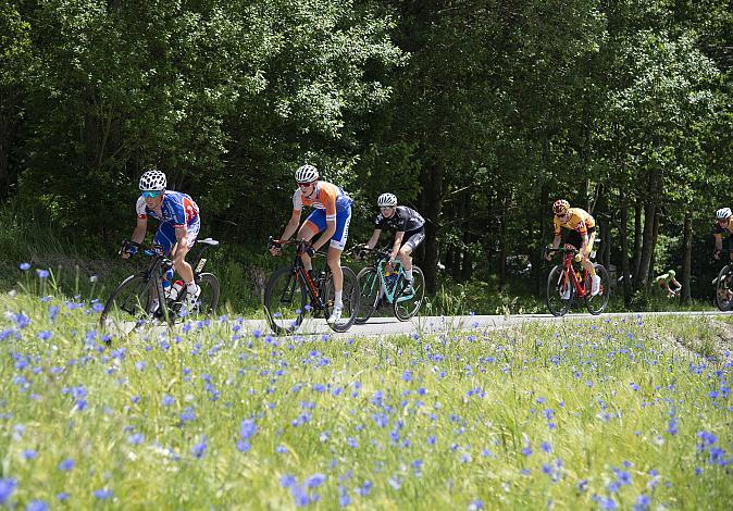 Das Feld in der Abfahrt vom Turmberg 1. Etappe Wels - Stift Reichersberg, Radsport 10. Int. OOE Rundfahrt