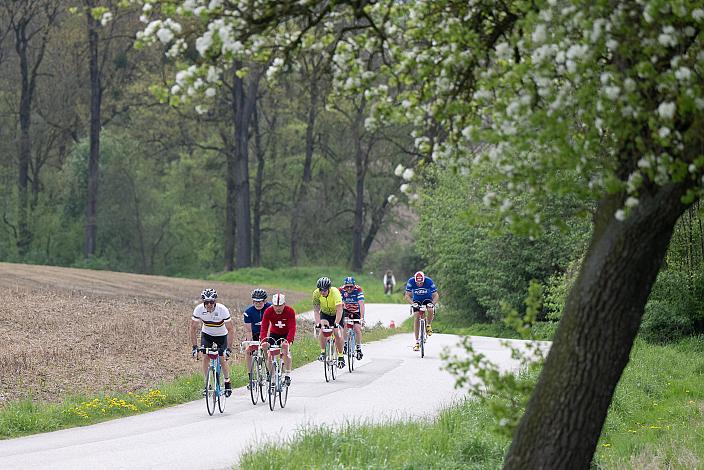 7. Kirschblüten Radklassik, Rad Klassik, Oldtimer, Vintage, Stahlrad, Radsport, Eferding, Oberösterreich