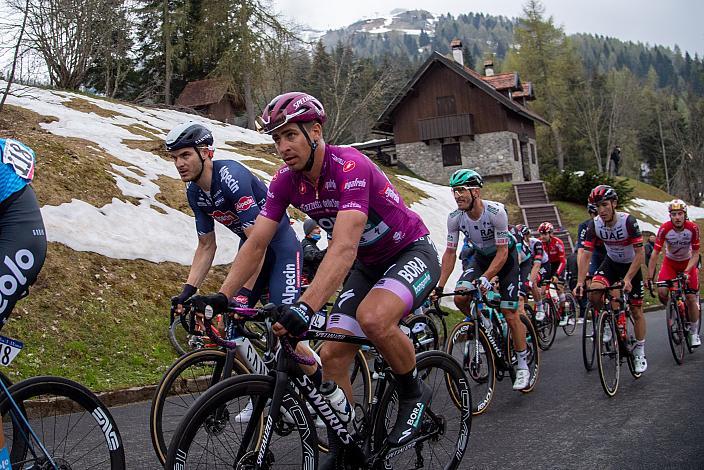 Peter Sagan (SVK, Bora - Hansgrohe) Stage 14 Cittadella - Monte Zoncolan (205km), 104. Giro d Italia, UCI Worl Tour