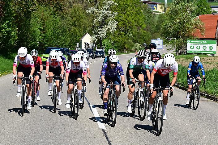 Damen Elite, U23, Road Cycling League Austria, 64. Raika Kirschbluetenrennen, Wels, Oberösterreich