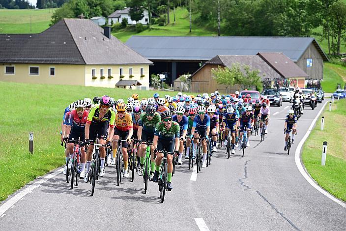Das Peloton auf der 2. Etappe unterwegs von , Wels nach Aigen - Schlägl, 14. Int. Raiffeisen OÖ-Radrundfahrt UCI Kat. 2.2