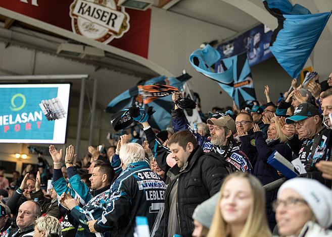 Fans der Linzer feiern EHC Liwest Black Wings Linz vs Vienna Capitals