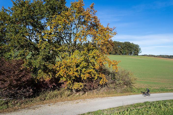 Radtour im Traunviertel, Naturpark Obsthügelland, Kirschblüten Radklassik, Oberösterreich