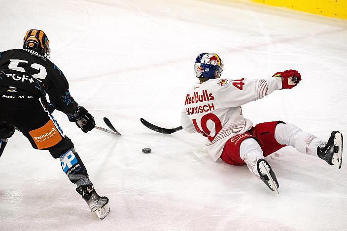 Alexander Moser (Steinbach Black Wings 1992), Tim Luca Harnisch (EC Red Bull Salzburg) Steinbach Black Wings Linz vs EC Red Bull Salzburg. Runde 32, ICE Hockey League, Steinbach Black Wings Linz, Linz AG Eisarena 