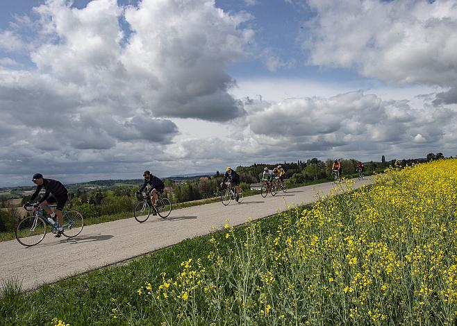 Das Feld der Fahrer bei St. Marienkirchen