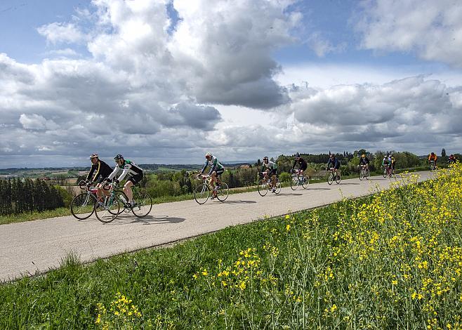 das Fahrerfeld der Klassik Ausfaht KirschblÃ¼ten Radklassik bei St. Marienkirchen
