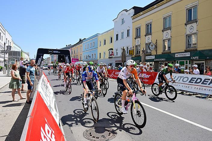 Peleoton Herrenrennen, Österreich Staatsmeisterschaft, Strasse, ÖSTM Schwanenstadt - OÖ
