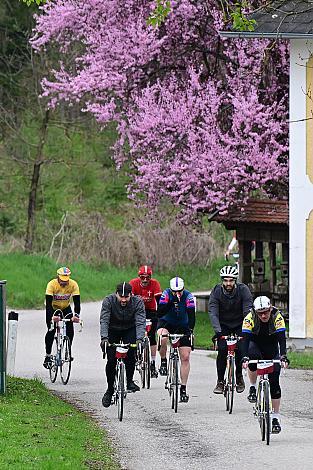 10. Kirschblüten Radklassik, Rad Klassik, Oldtimer, Vintage, Stahlrad, Radsport, Eferding, Oberösterreich