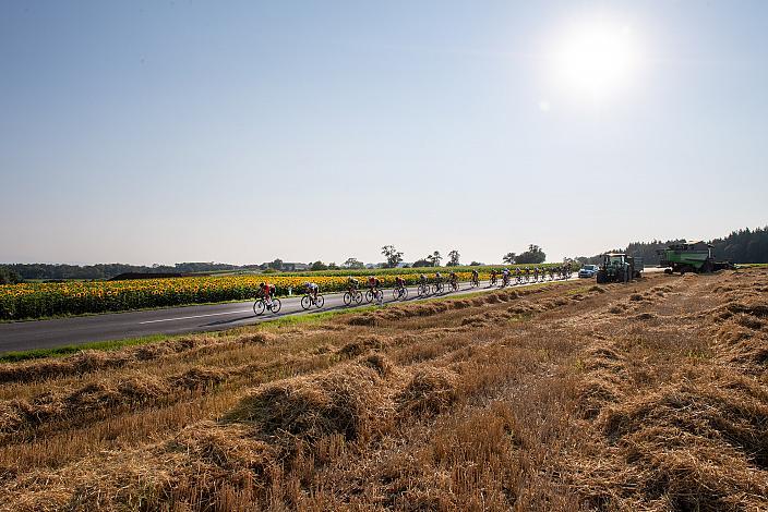Das Feld am Weg nach Marchtrenk 46. Int. Keine Sorgen,  Junioren Rundfahrt UCI Kat. MJ 2.1, 1. Etappe Haid/Ansfelden - Marchtrenk