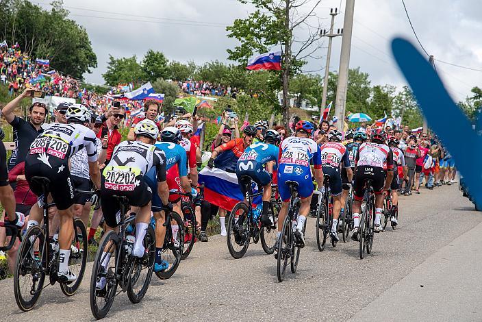 Das Peleton am Weg zur Bergwertung Gornje Cerovo in Slowenien.