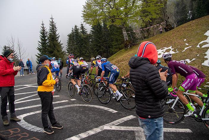 Das Hauptfeld klettert auf den Monte Zoncolan, Stage 14 Cittadella - Monte Zoncolan (205km), 104. Giro d Italia, UCI Worl Tour