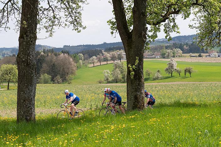 7. Kirschblüten Radklassik, Rad Klassik, Oldtimer, Vintage, Stahlrad, Radsport, Eferding, Oberösterreich