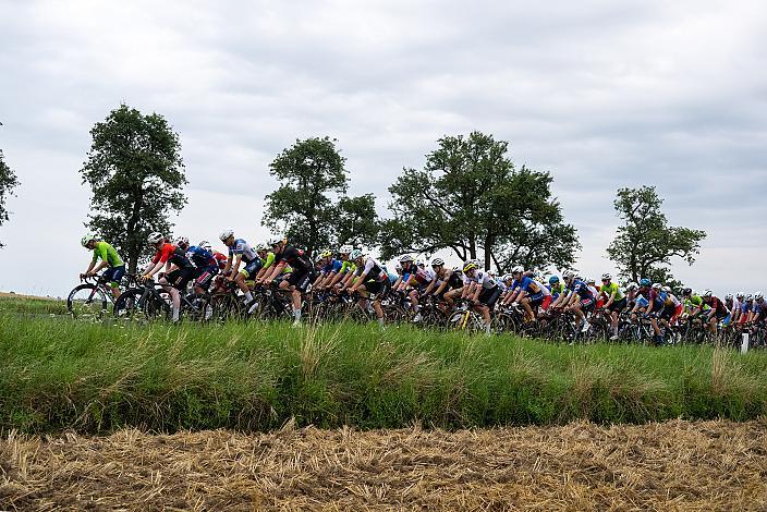 50. OÖ Junioren Rundfahrt, 1. Etappe Marchtrenk - Marchtrenk