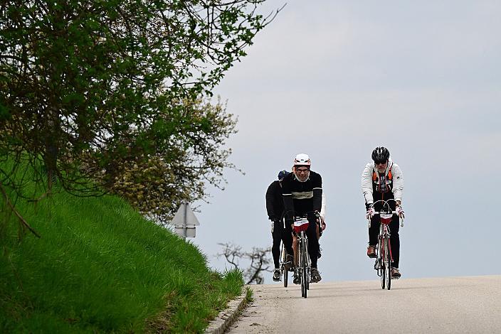 10. Kirschblüten Radklassik, Rad Klassik, Oldtimer, Vintage, Stahlrad, Radsport, Eferding, Oberösterreich