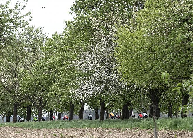 Fahrer bei der Labe Ebner