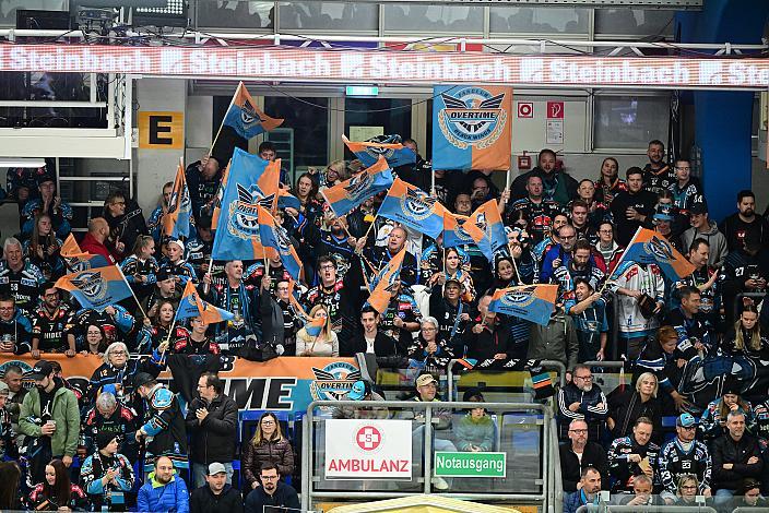 Fans der Steinblach Black Wings 7. Runde ICE, Steinbach Black Wings Linz vs EC KAC, Linz AG Eisarena 