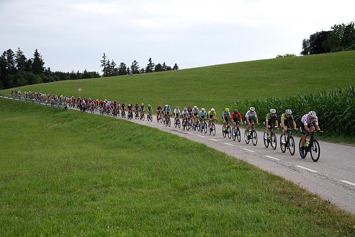 Das Peleton vor Rohrbach, Rohrbach - Rohrbach, Int. "Keine Sorgen" Junioren Rundfahrt UCI Kat. 2.1 MJ