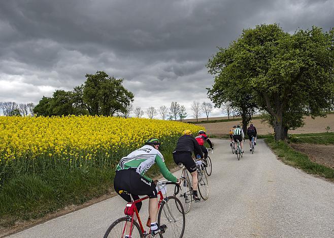 eine Gruppe der KirschblÃ¼ten Radklassik bei Axberg