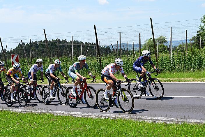 Josef Dirnbauer (AUT, Cycling Team Schwingshandl) im Bergtrikot 3. Etappe Bad Schallerbach - Aigen - Schlägl, 15. Int. Raiffeisen OÖ-Radrundfahrt UCI Kat. 2.2