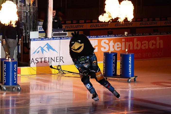 Das Steinbach Blackwings Linz Maskottchen Gonzo Steinbach Black Wings Linz vs Hydro Fehervar AV19, Linz AG Eisarena, pre season 