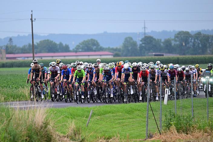 50. OÖ Junioren Rundfahrt, 1. Etappe Marchtrenk - Marchtrenk