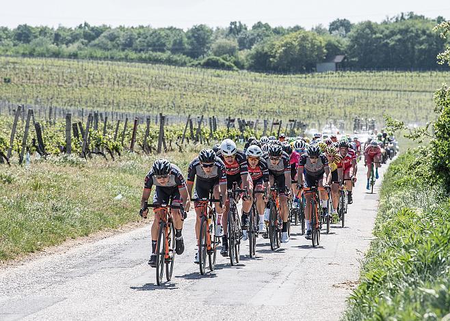  Tirol Cycling Team