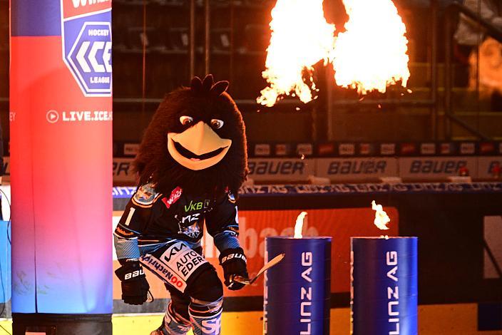 Das Steinbach Blackwings Linz Maskottchen Gonzo Win2Day ICE Hockey League,  3. Viertelfinale, Steinbach Black Wings Linz vs Moser Medical Graz 99ers,  Linz AG Eisarena 
