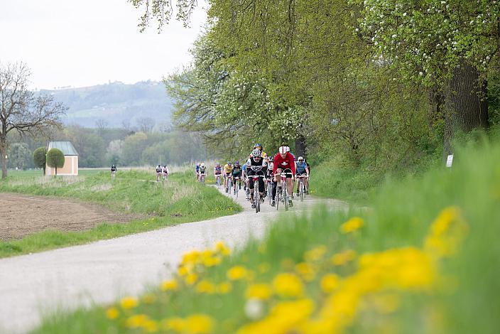 7. Kirschblüten Radklassik, Rad Klassik, Oldtimer, Vintage, Stahlrad, Radsport, Eferding, Oberösterreich