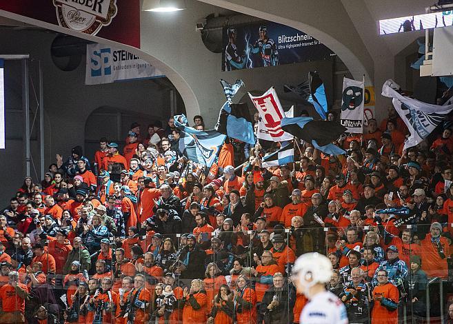 Im Bild: Black Wings Fans an Orange day Eishockey,  EHC Liwest Black Wings Linz vs EC KAC