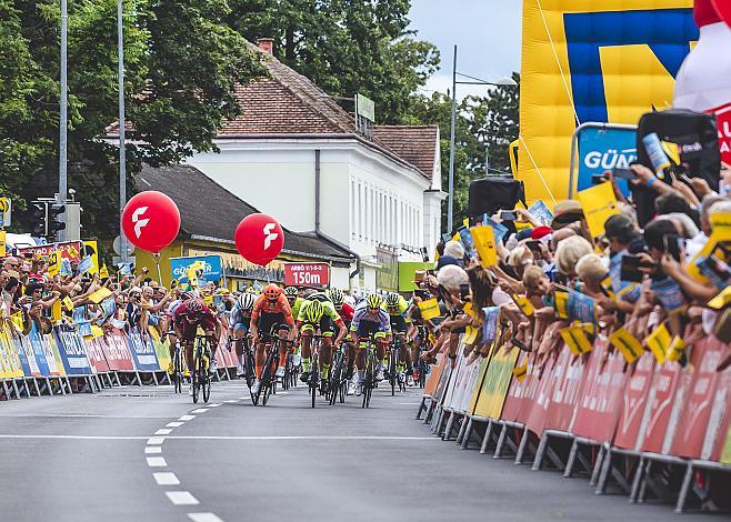 v.l. Daniel Auer (AUT, Maloja Pushbikers), August Jensen (NOR, Israel Cycling Academy), Jonas Koch (GER, CCC Team), Jannik Steimle (GER, Team Vorarlberg Santic), Emils Liepins (LAT, Wallonie-Bruxelles),  Tom Devriendt (BEL, Wanty - Gobert Cycling Team) Etappensieger 2. Etappe, 2..Etappe, Zwettl - Wr. Neustadt, 71. Ã–sterreich Rundfahrt, Tour of Austria (UCI 2.1)