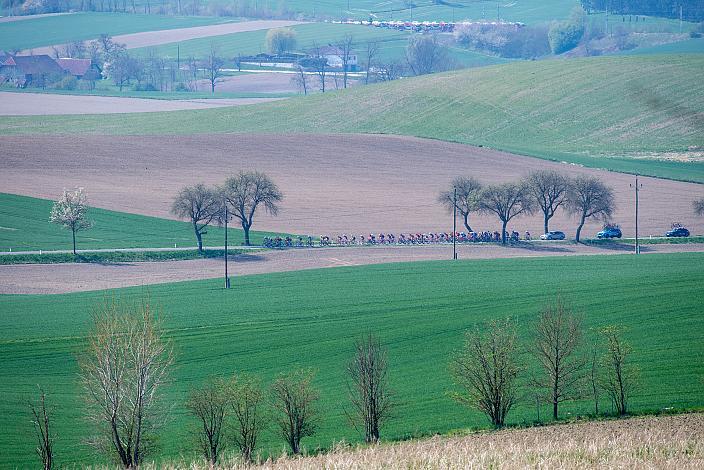 Elite Herren, 69. Kirschblütenrennen Wels, Oberösterreich 
