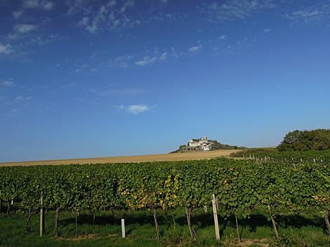 Die Landschaft im Weinviertel bei Falkenstein