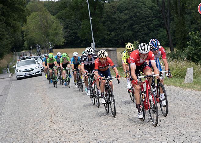 Das Feld auf der HÃ¶henstrasse, mit Michael Gogl (AUT, Trek - Segafredo), Staatsmeisterschaft, Strassenrennen, Kahlenberg, Wien